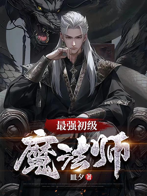 最强初级魔法师小说